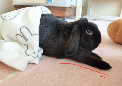 9789BB44-3E40-495B-A754-67567DC6F22A