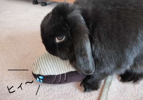 96E32C98-F1A4-4F21-AABE-11C2663B34BC