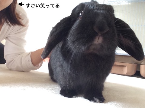 5F6C6F19-3CEC-496C-AF28-24EFC3EA45DA