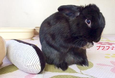 D3592FED-91DF-4B45-AA23-09484BF992FD