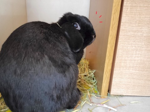 13FF375E-F383-4EAD-A064-7F578D8A8B6F