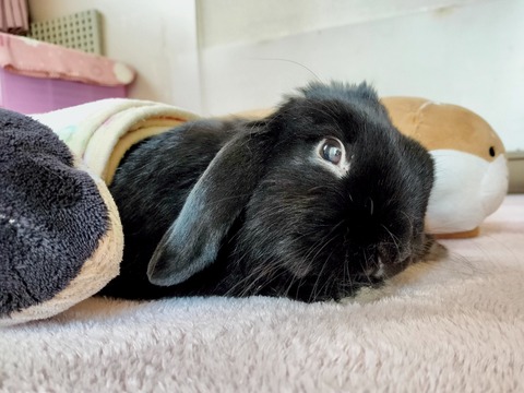 B1232CEF-4FD0-45D8-B57E-1155C3E18A7C