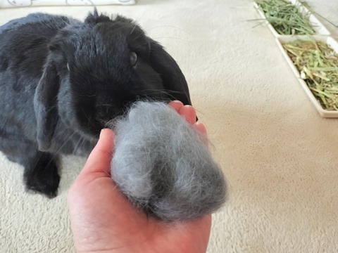 EB8B94C6-AE90-4A3E-903D-4F6AFF0EE532