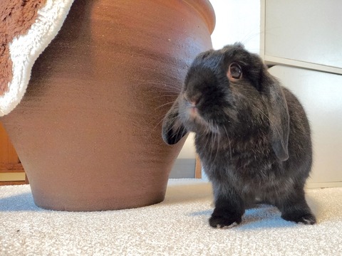 05A8B75B-DB67-472B-A966-503AB738DD4E