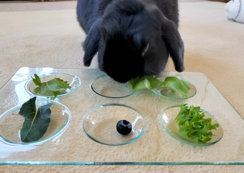 F95FA10F-9E2A-471B-B543-00E5C596F058