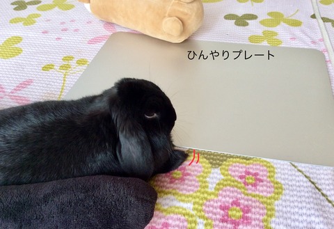 004F226A-2BB4-41D7-B180-5FB2F1527CE1