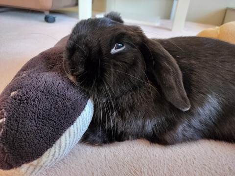 568692F0-D1F3-47BB-BDD3-9B1A2E8BC0AD