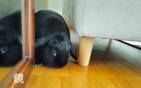 3EBF9AEC-D3FA-469C-A503-14D1CCCE6250