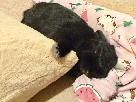 30B205BB-72DD-487F-A452-FB0260021A85