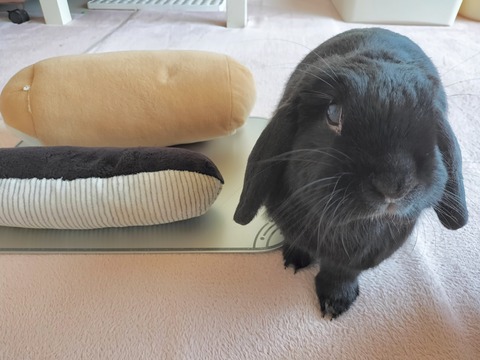 A471906F-3B18-4117-994D-968689F98C9E