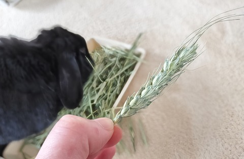 13E01018-8EC3-44E5-B519-75E2F1E91F44