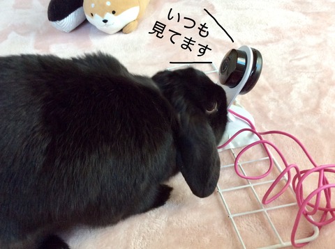 8AF7A9ED-CB6C-4DFA-8B33-9E4E0C98DFD4