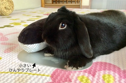 304BF6CD-40FA-4682-B7FB-1DFA69422AE7