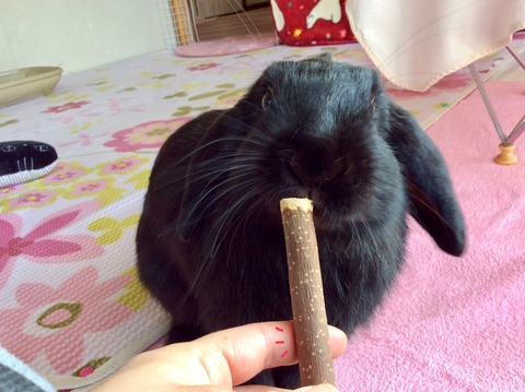 A01348DE-0308-461D-B6B9-2486E252C02E