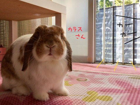 F854243C-0B41-45F5-855C-E5C964E7B3B9