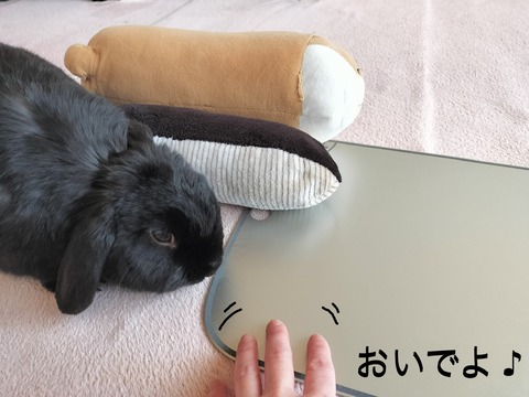 BAB12BF3-1C48-4EF2-97DB-E562281AA553