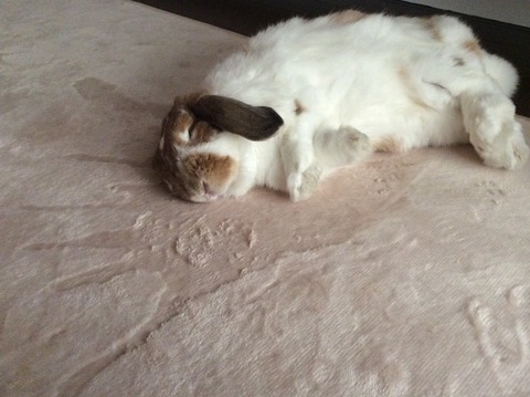 688DF518-7271-41F8-9973-32E976334C0B