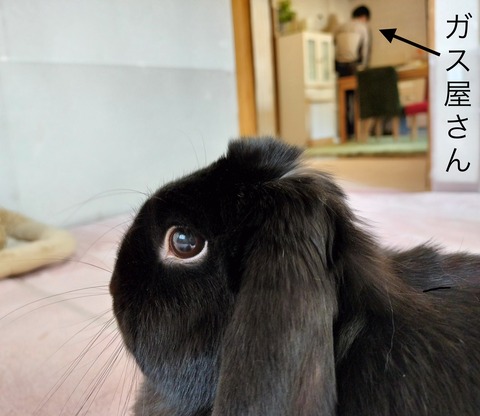 88BD49FB-17D2-4735-B430-5F46DEF1DF93