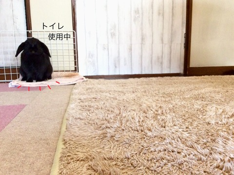 FA0E8D12-2429-4622-8534-2B2B298154C3