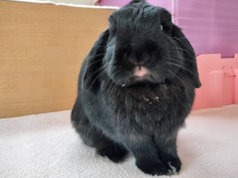 773A4BD4-3918-4DCF-A4E2-5B3EE5B92237