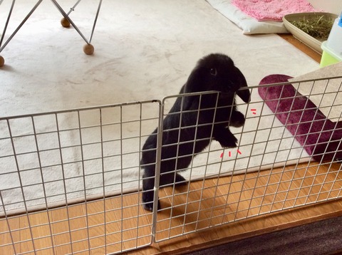 779B8C4A-B7CB-4E76-88B9-D79929EF5DA3