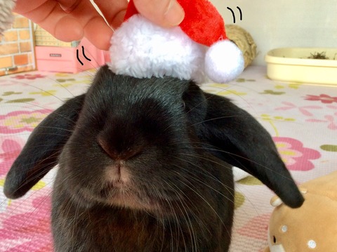 4F555843-C5B6-4FBE-A9AE-85FCDB199500