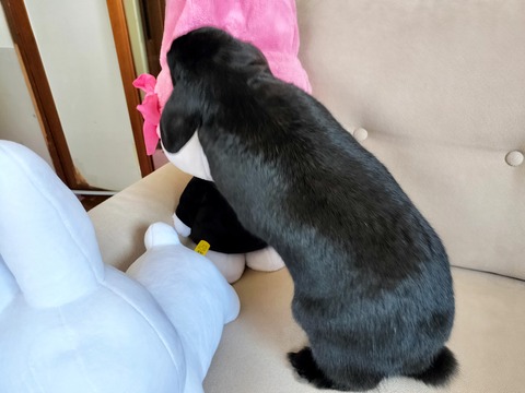 66F88C8A-6253-45B0-A85A-0D91C2FF4DD4