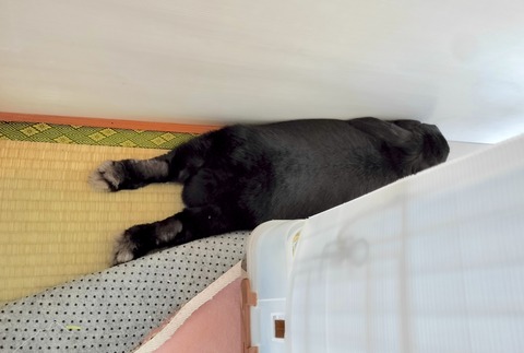 B02EB031-B455-4462-A6FF-C8F44E927BA6