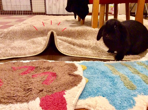 F2F70990-B9BD-459B-9420-2052E81E69A9