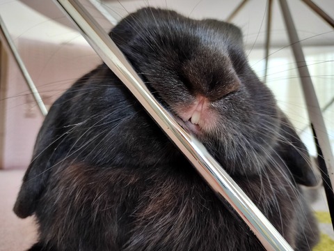 F7ACABBA-BCE5-4469-99F6-6B07DD5C82A0