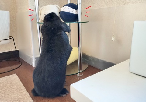 80751072-353F-450C-9CF0-8DA0B3AD1188