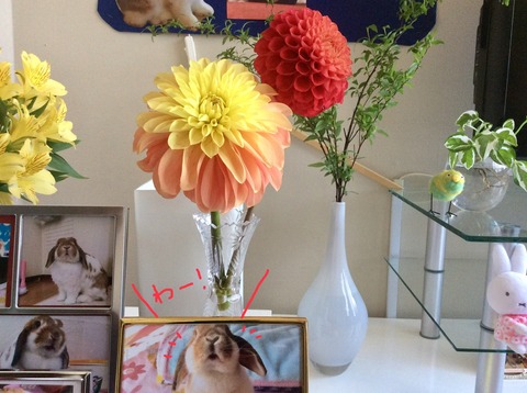 0007E289-8A3C-4970-BC52-F16F82BE316E