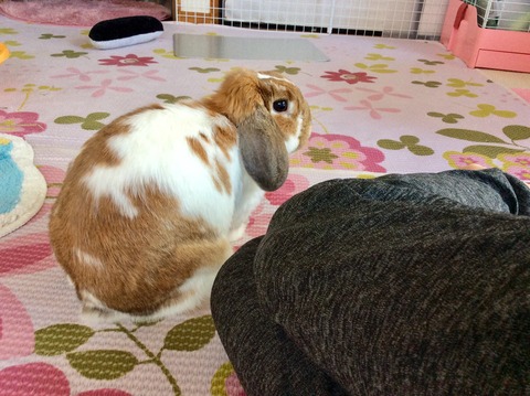 62E3F2BB-D9D5-4C4F-8677-8061773BC363