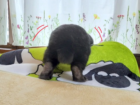 D32B2CDA-71B9-4407-99C6-5282B6870695