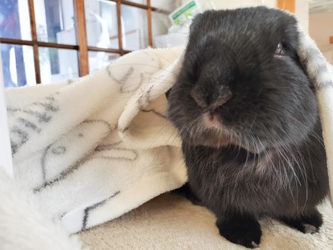 99033557-87A9-4CFD-AF3E-4DACB9689FE3