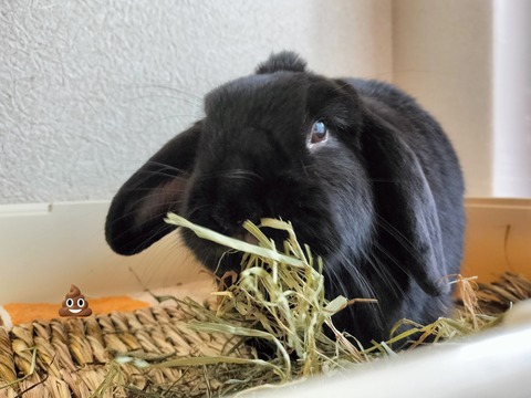 CA9BD549-EAE0-4428-B803-1258022DC8D7