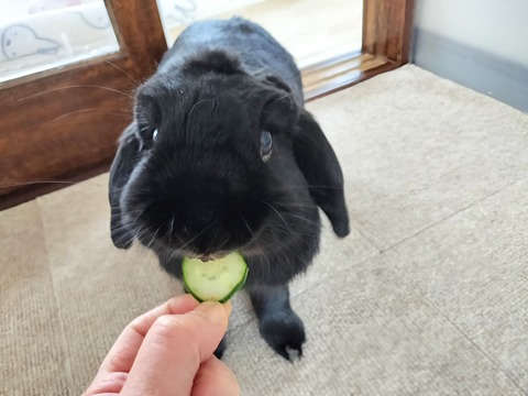 1BA4862D-DCB3-472E-928C-A0CA578D90CB