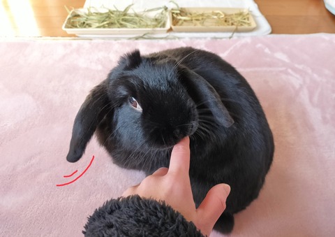 C5727F23-0261-4149-BD3B-2CFC5941A82E