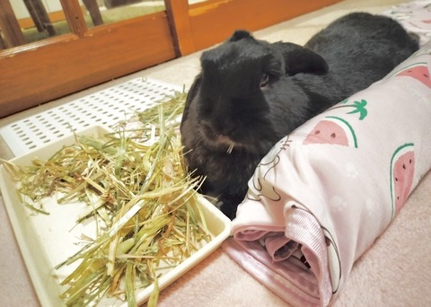 96D96A1D-C05E-4DEC-A6C0-A30CB922A9C3