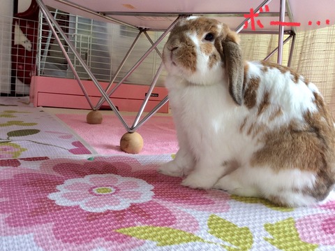 D0DFE309-3E42-4CD5-B726-D1EACF1B5F64