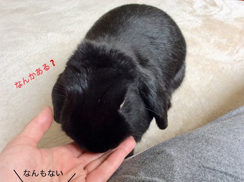 278BFE6E-2EC2-48BB-86F8-572401037D85