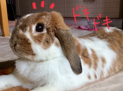 4C88AC23-EC2E-49B7-A7AD-D4CF49100670