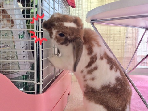 FADBEAC7-31BA-48FF-B008-F892E04B736D