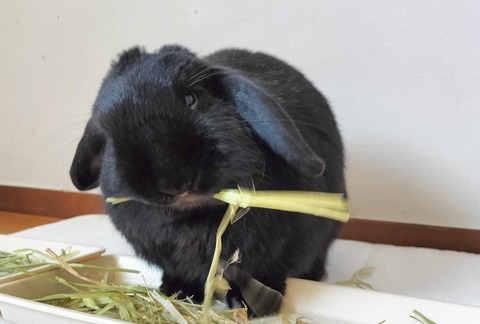 FC81CB56-547B-494F-BC48-F55D1C49883D