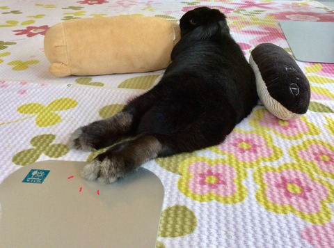 E20ED0A5-6759-4C66-B6B6-19098C9ADC26