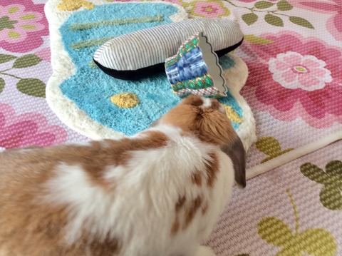 36578A35-6E77-400A-8A9F-1D0EB94457FF