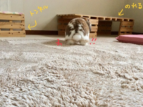 1EFC6439-F5C4-446F-95D0-34313154128E