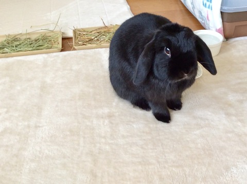 126C7B4A-D155-4EE6-8B17-CAF9C8FE35E0