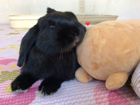 2F4ABCA8-8E6A-4038-B13F-235C70D0E708