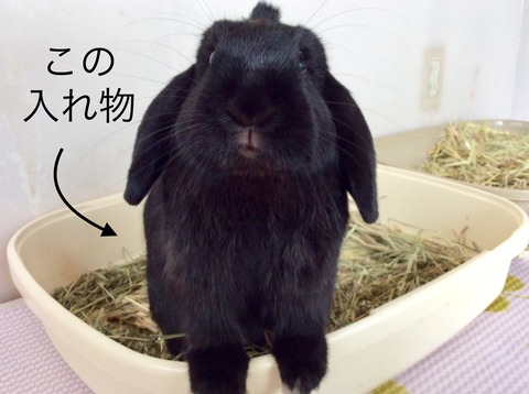 85EB5C7D-309F-4A18-951A-D1D68743296A